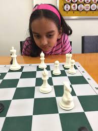 Portable Tournament Chess Board Game Mat With A FREE Carrier Bag