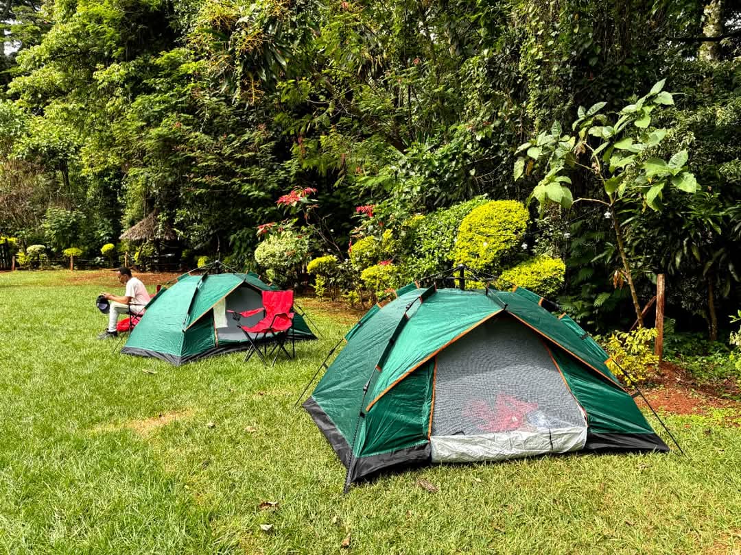 Camping Tent (1-2 people)