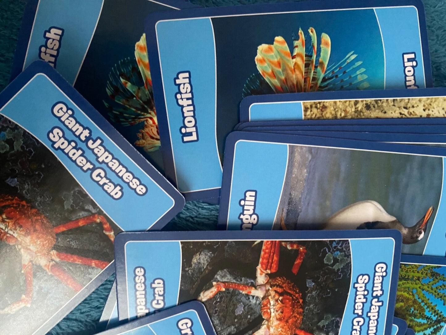 Sea Animals memory Top Trumps Games